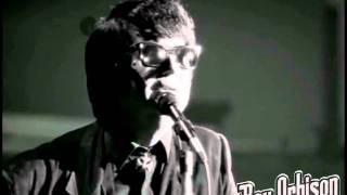 Roy Orbison - "It's Over" from Black and White Night